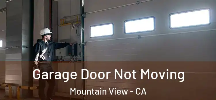  Garage Door Not Moving Mountain View - CA