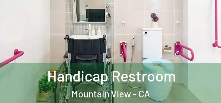 Handicap Restroom Mountain View - CA