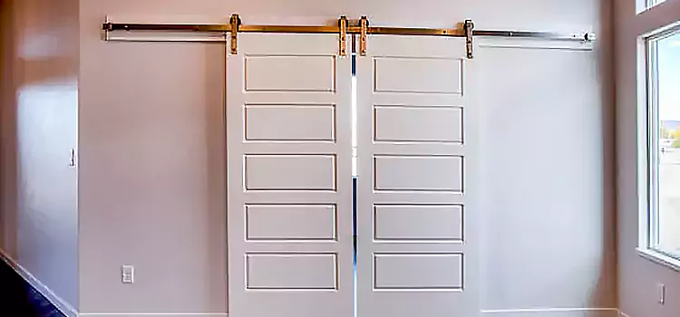Glass Barn Door with Installation Hardware Kit Mountain View