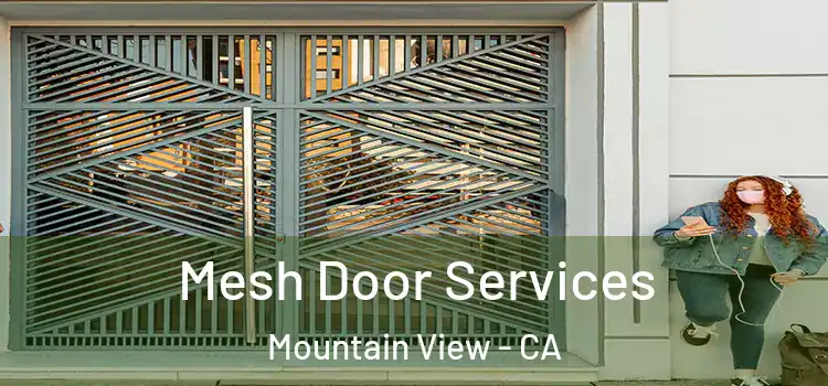Mesh Door Services Mountain View - CA
